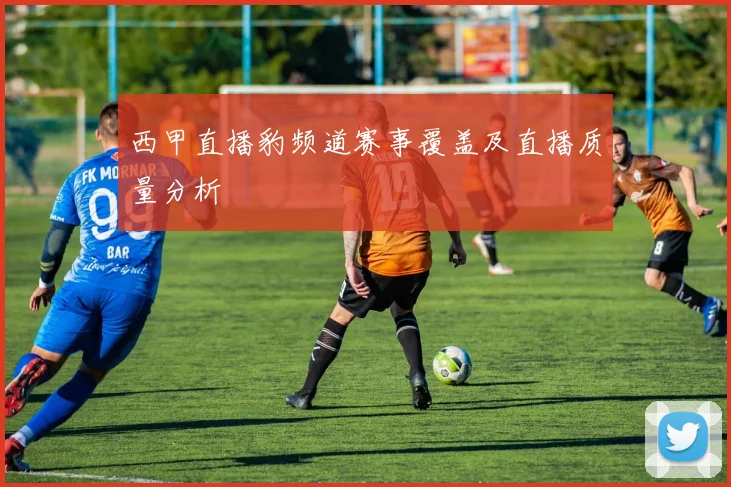 西甲直播豹频道赛事覆盖及直播质量分析